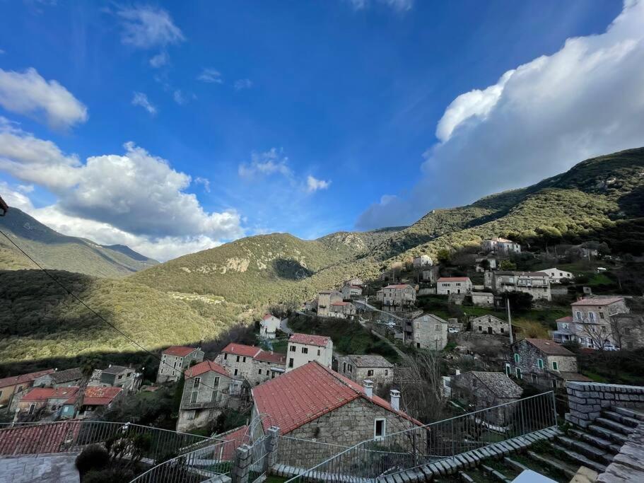 Casa Arena Authentique Maison De Village Avec Piscine Au Coeur De L'Alta Rocca - Zoza Kültér fotó