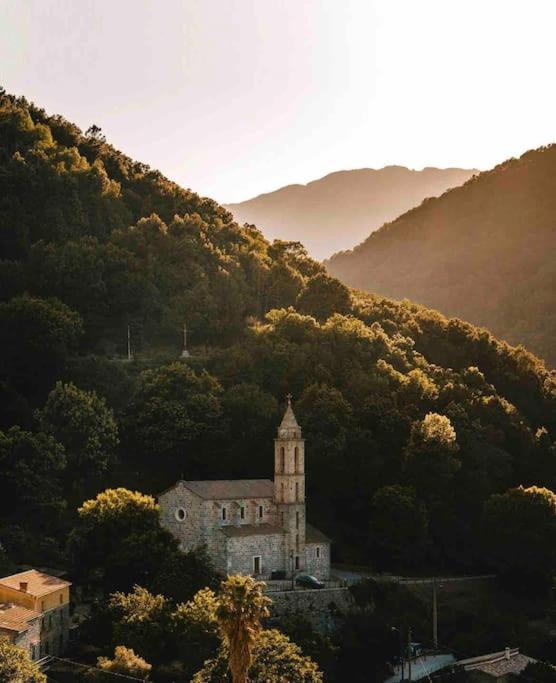 Casa Arena Authentique Maison De Village Avec Piscine Au Coeur De L'Alta Rocca - Zoza Kültér fotó