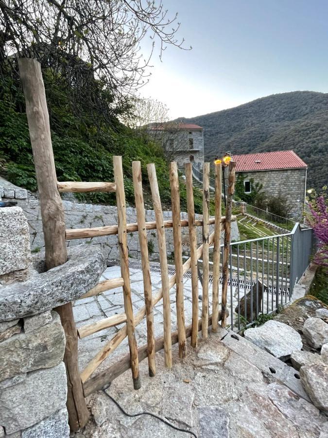Casa Arena Authentique Maison De Village Avec Piscine Au Coeur De L'Alta Rocca - Zoza Kültér fotó