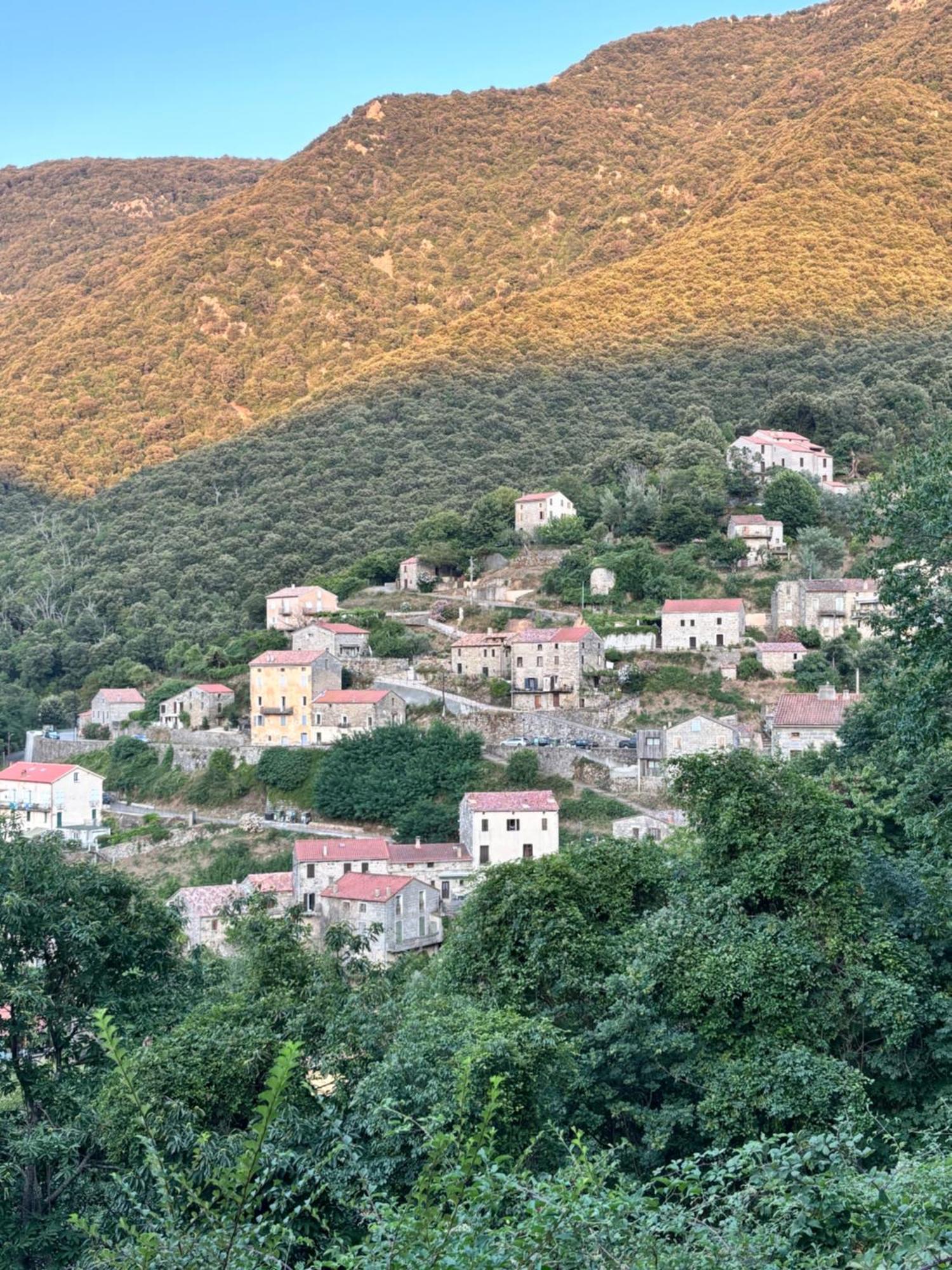 Casa Arena Authentique Maison De Village Avec Piscine Au Coeur De L'Alta Rocca - Zoza Kültér fotó